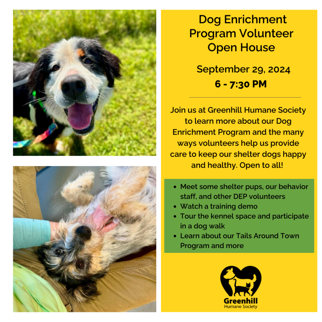 Volunteer Open House - Dog Enrichment Program - Greenhill Humane Society